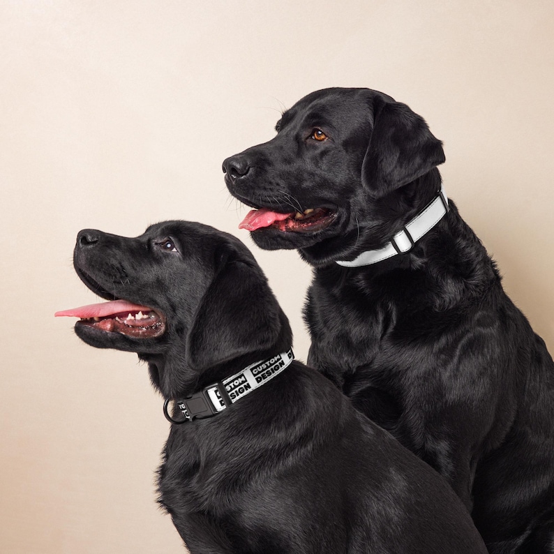 Customizable Dog Collar – Personalized Photo & Design Pet Collar - Etsy