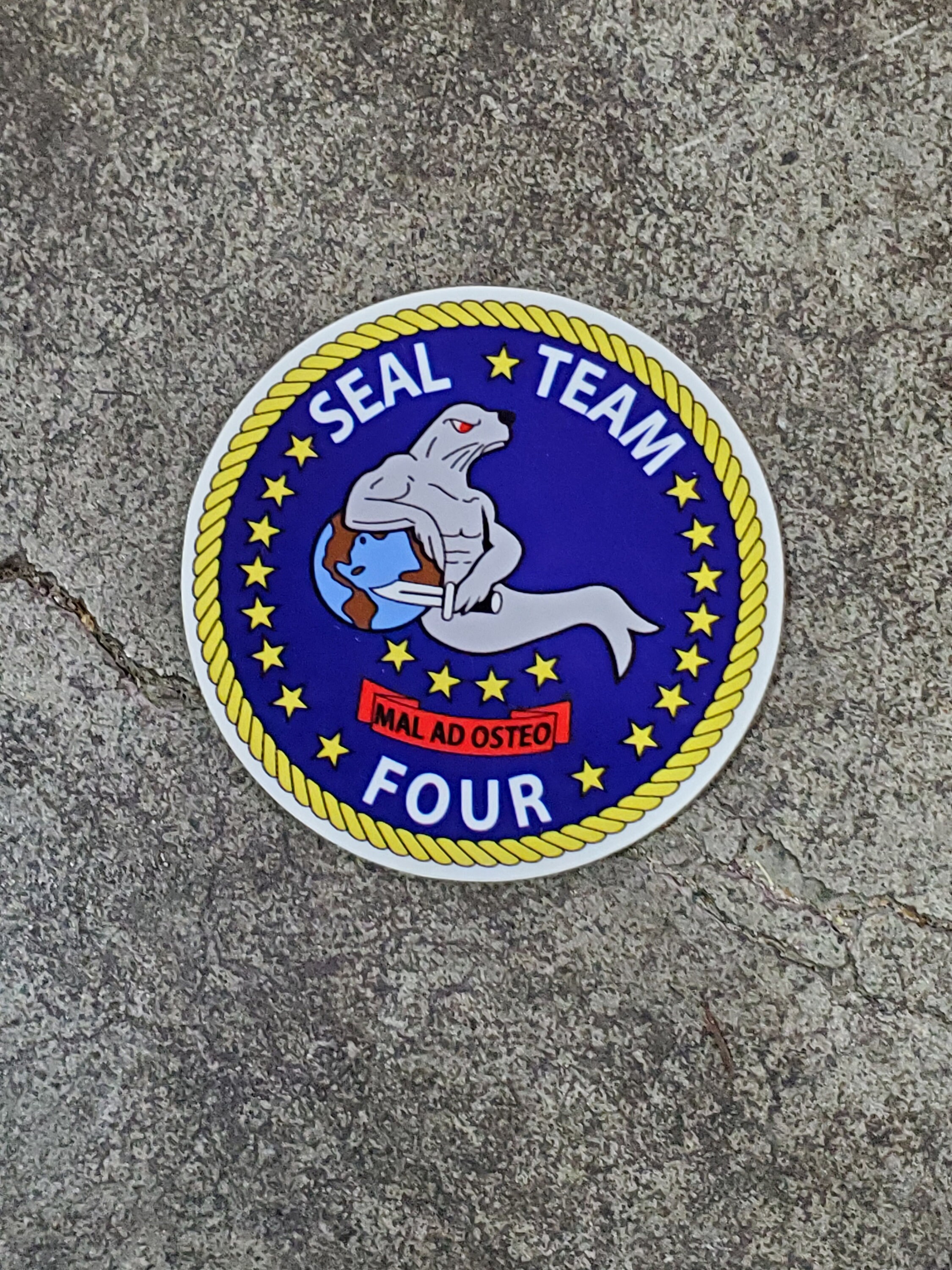 Navy SEAL Team Four 2 inch Decal Etsy