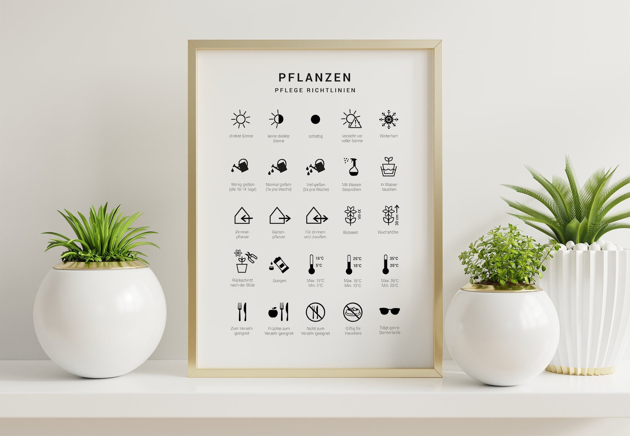 Pflanzensymbole Pflanzenpflege Pflegesymbole Pflanzen Poster Care Guide