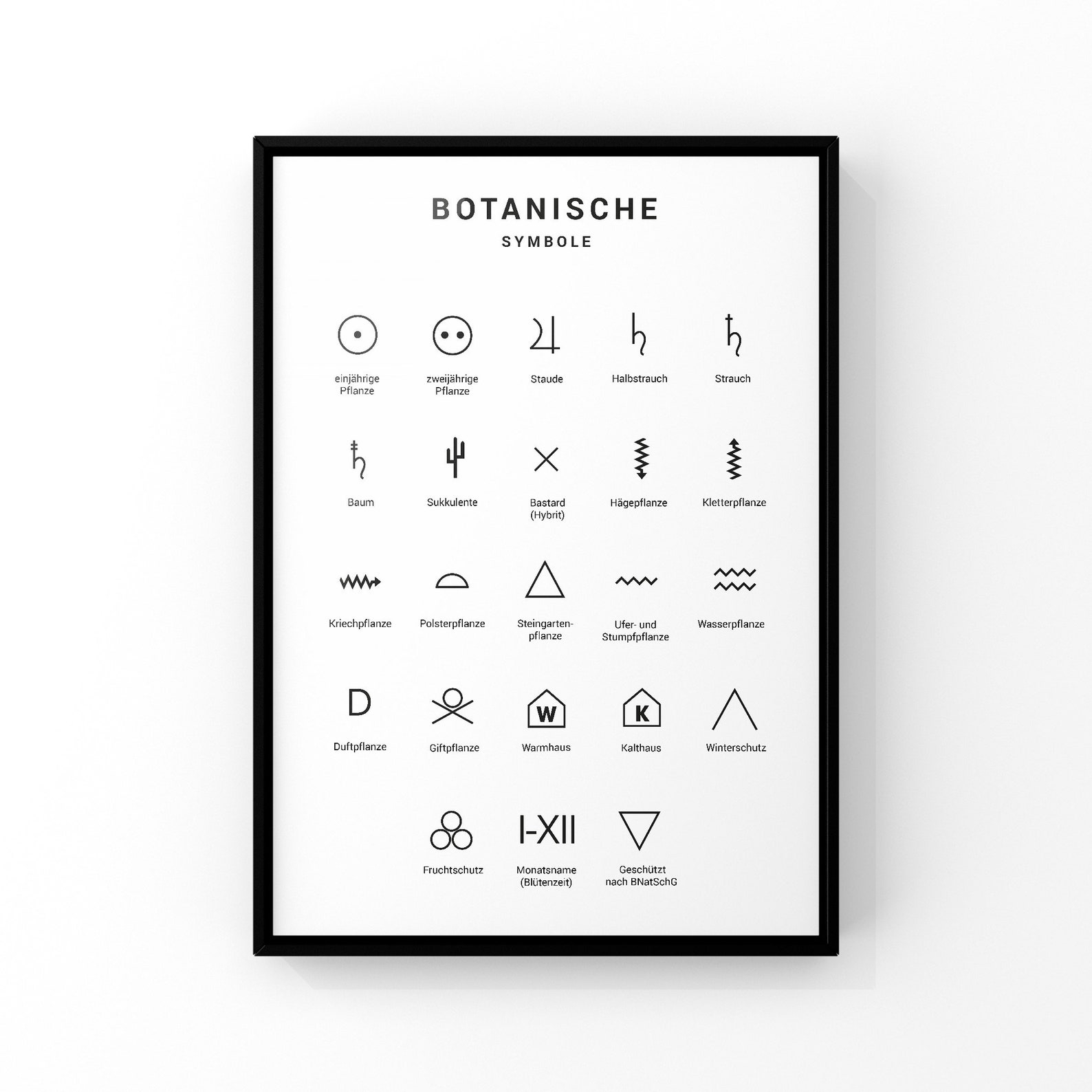 Plant Symbols Plant Care Set Care Symbols Plants Etsy