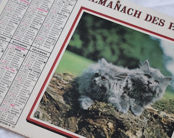 Op de afbeelding: Vintage kalenderpagina met een foto van twee pluizige grijze kittens op een mosachtige boomstam. De kalender toont maanden, data en namen in het Frans. De bovenkant van de pagina luidt "ALMANACH DES P.T.T."