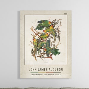 John James Audubon Acrylic Glass Print | A Bar At The Folies  | John James Audubon Acrylic Poster | John James Audubon Acrylic Glass Decor