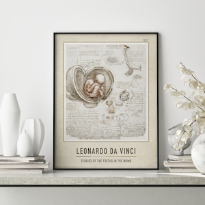 Studies Of The Foetus In The Womb - Leonardo da Vinci | Leonardo da Vinci Canvas Print | Leonardo da Vinci Poster | Leonardo Canvas Decor