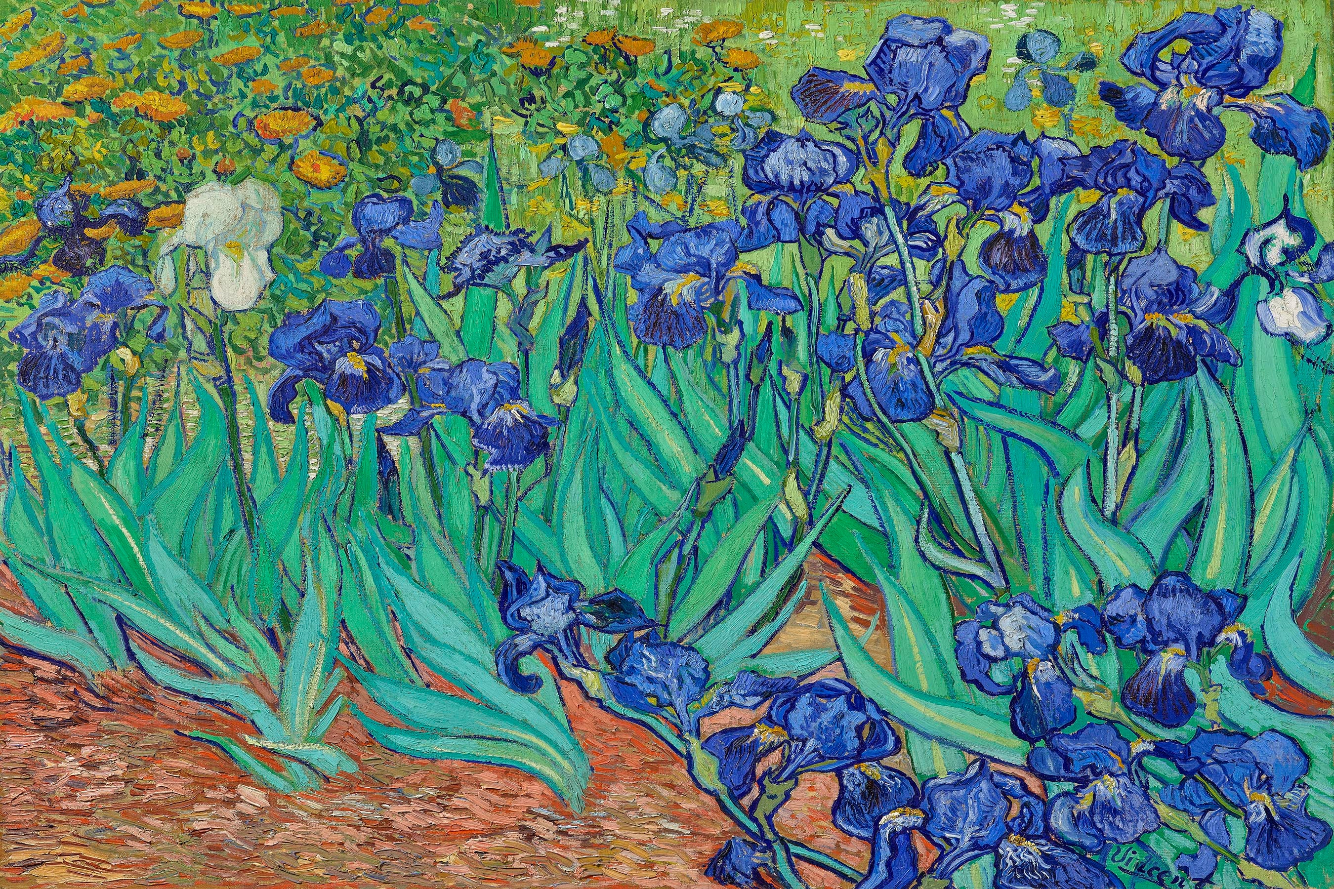 Irises 1889 Vincent Van Gogh / Vincent Van Gogh Canvas | Etsy