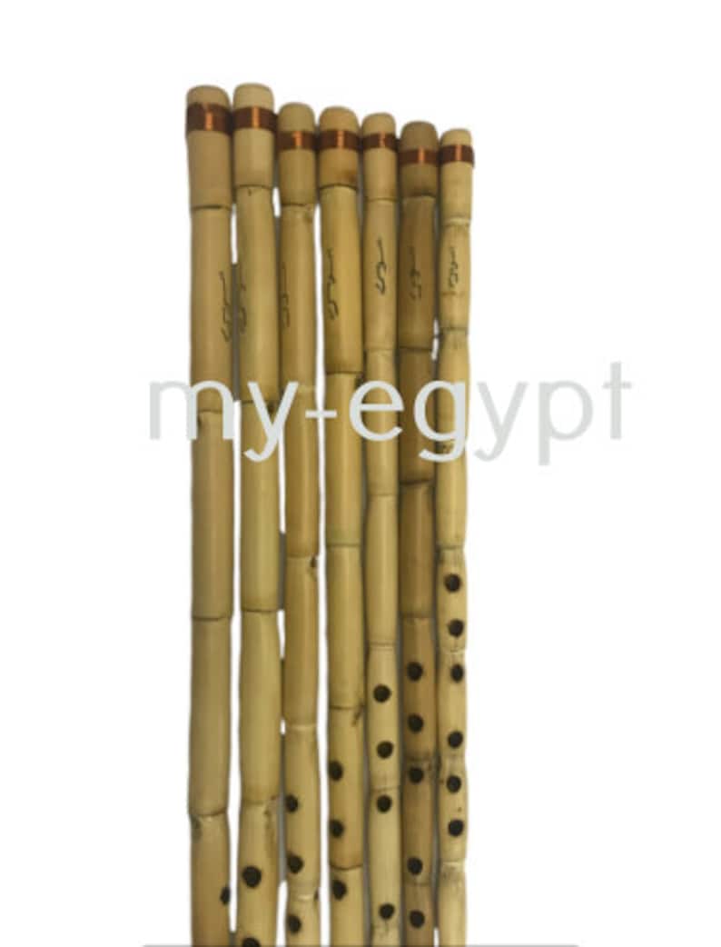 Egyptian Professional Ney Nay Flute Woodwind FULL Set 7 Pcs by Etsy UK