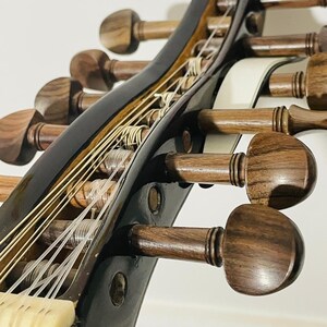 Op de afbeelding: Close-up van een zwart snaarinstrument met houten stemknoppen. Het instrument heeft meerdere snaren en een witte strook langs de hals. De stemknoppen zijn van donker hout met een zichtbare nerf.