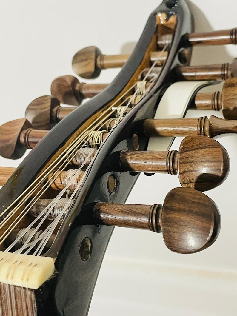 Op de afbeelding: Close-up van een zwart snaarinstrument met houten stemknoppen. Het instrument heeft meerdere snaren en een witte strook langs de hals. De stemknoppen zijn van donker hout met een zichtbare nerf.