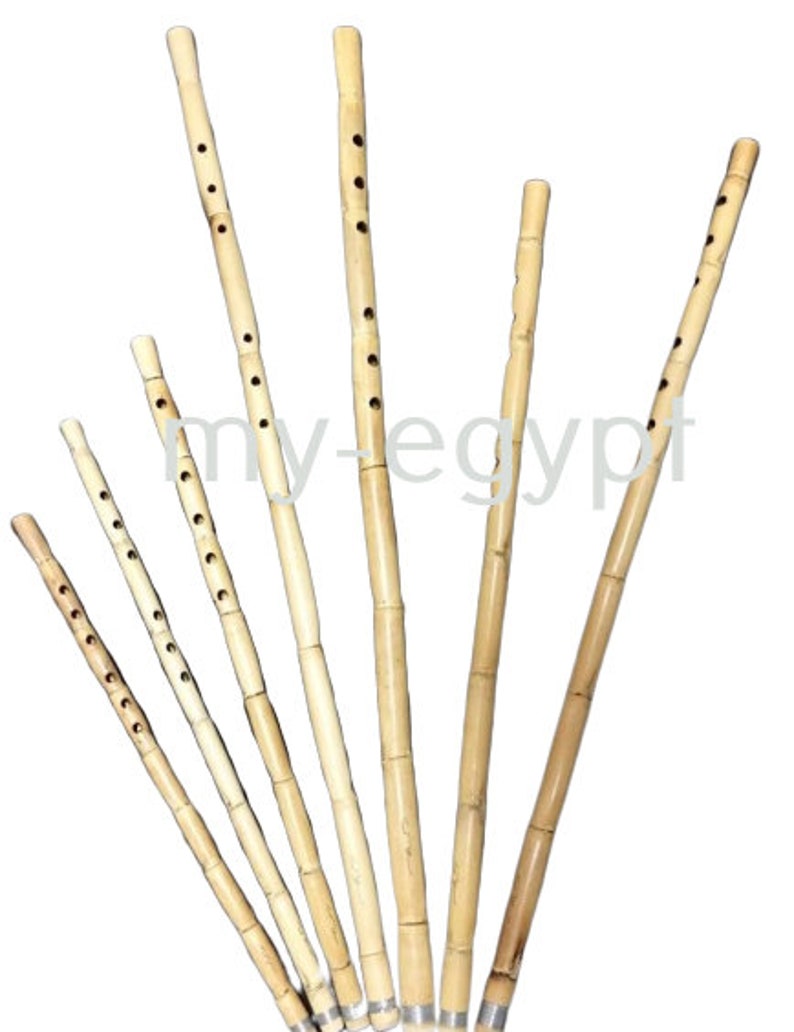 Egyptian Professional Ney Nay Flute Woodwind FULL Set 7 Pcs by Etsy