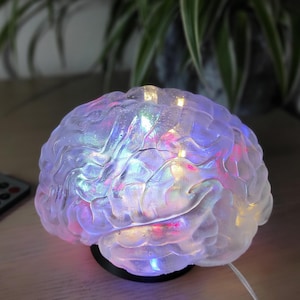 Op de afbeelding: Een transparante glazen lamp in de vorm van een hersenen met kleurrijke LED-verlichting erin. De lamp staat op een houten oppervlak en is aangesloten.