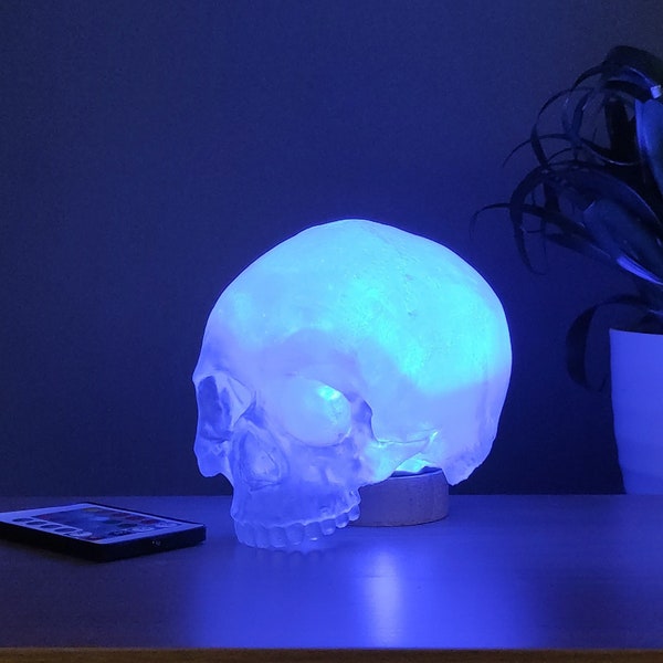 Human Skull Desk LED Lamp, Skull light, 3D printed, modern home decor, gothic gift, Colour Changing Led Lamp, Halloween decor