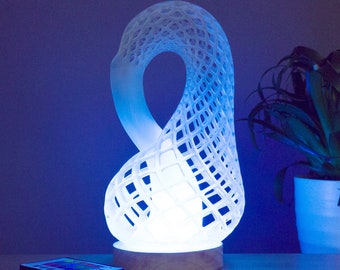 Desk Lamp,Klein Bottle lamp, multicolored lights, 3D printed, modern home decor, office/home lighting, science, maths abstract gift for him