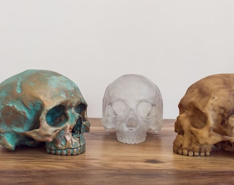 Handgeschilderde 3D-geprinte replica menselijke schedel: gotisch halloweendecor