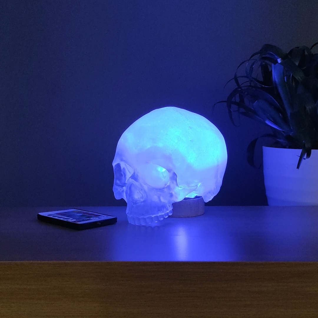 Human Skull Desk LED Lamp, Skull Light, 3D Printed, Modern Home Decor, Gothic Gift, Colour Changing Led Lamp, Halloween Decor - Etsy Japan