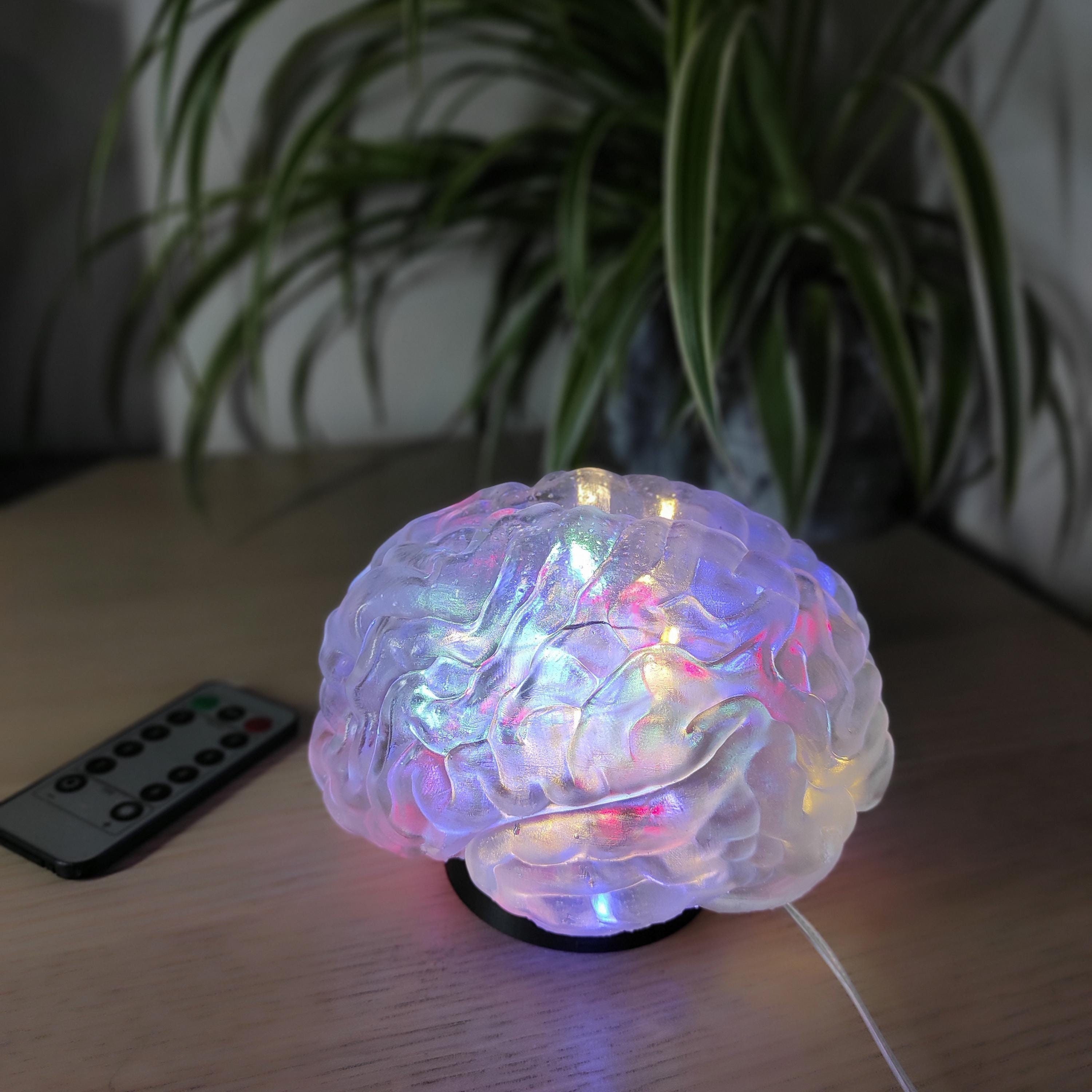 Human Brain Desk LED lamp, 3D Printed Small Accent Lamp,Novelty Lamp, Ambient Light, Colour Changing Lamp,Science Teacher Gift