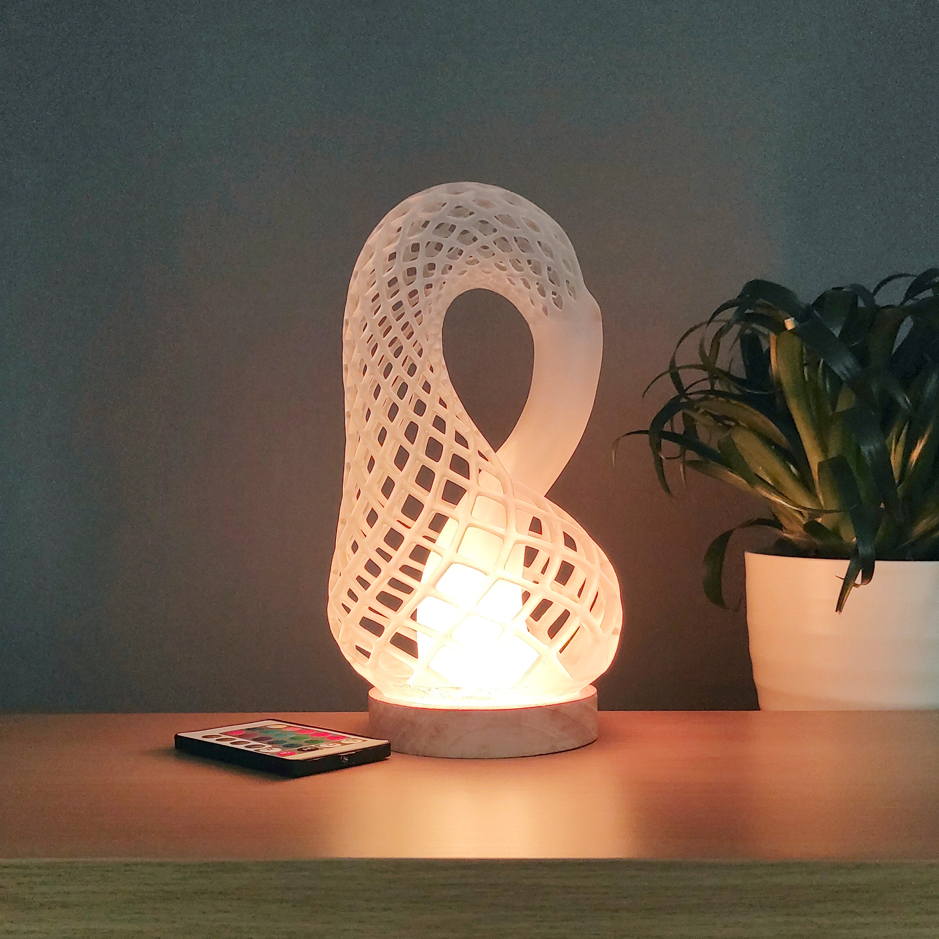 Klein Bottle Desk Lamp Multicolored 3D Printed Modern Home