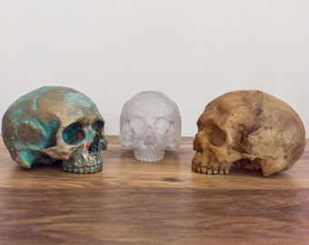 Human skull replica, 3D printed skull, hand-painted,realistic skull, Halloween decor
