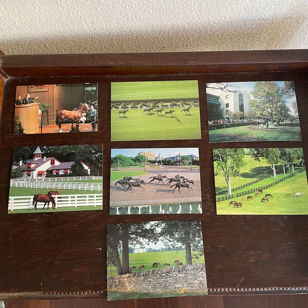 Horse Racing Post Cards Etsy