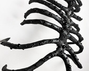 Rib Cage Corset - Etsy