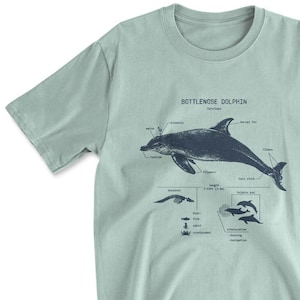 Dolphin Anatomy T shirt, Screen Printed Dolphin Shirt, Marine Biology Shirt, Dolphin Biology Diagram, Dolphin Beach Shirt