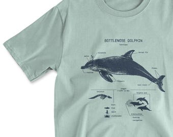 May include: A light blue t-shirt featuring a graphic of a bottlenose dolphin with anatomical details. The text "Bottlenose Dolphin" is printed on the shirt.