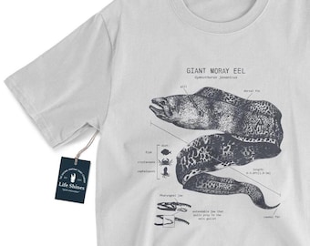 Camiseta de anatomía de la anguila morena: Camiseta gráfica de biología marina