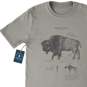 Bison Anatomy T Shirt, Yellowstone Bison Shirt, Screen Printed Wyoming Bison Shirt, Original Bison Biology Drawing, American Bison T Shirt