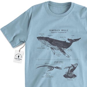 Humpback Whale Anatomy T Shirt, Humpback Whale Shirt, Whale Biology Shirt, Marine Biologist Whale Shirt, Humpback Whale Gift, Whale Artwork
