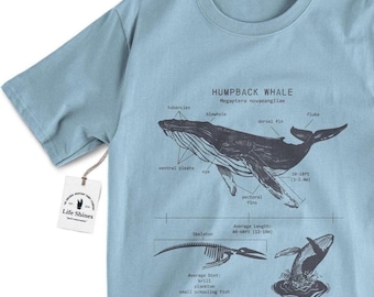 May include: A light blue t-shirt with a graphic of a humpback whale anatomy illustration. The illustration includes the whale's skeleton, breathing, and a diagram of its body parts. The text "Humpback Whale Megaptera novaeangliae" is printed above the illustration.