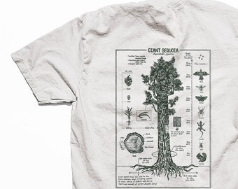 Tshirt de diagramme bontanique de séquoia géant, sérigraphie de conception originale de séquoia dessiné à la main sur un tshirt de coton doux