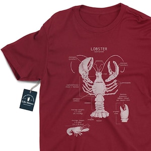 Lobster Anatomy T-shirt, Vintage Lobster Art, Marine Biology Shirt, Cape Cod Gift, Beach T Shirt, Maine Lobster Shirt, Lobster Gift