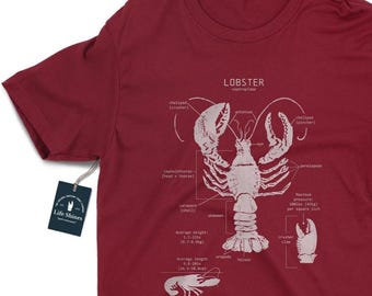 Lobster Anatomy T-shirt, Vintage Lobster Art, Marine Biology Shirt, Cape Cod Gift, Beach T Shirt, Maine Lobster Shirt, Lobster Gift