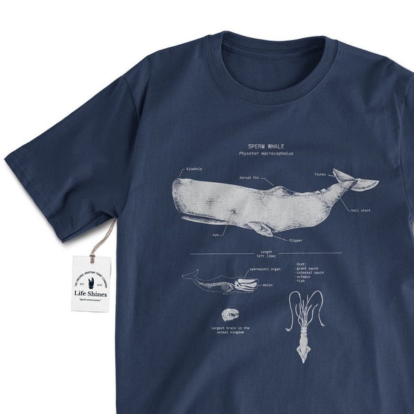 Sperm Whale Anatomy T Shirt, Marine Biology Shirt, Sperm Whale Shirt, Whale Gifts, Boat T Shirt, Original Sperm Whale Drawing