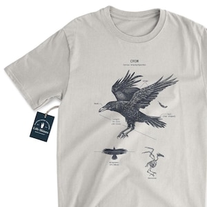 Crow Anatomy T Shirt, Crow Biology Shirt, Ornithologist Gift, Corvus Shirt, Corvus Art, Crow Artwork, Crow Screen Print