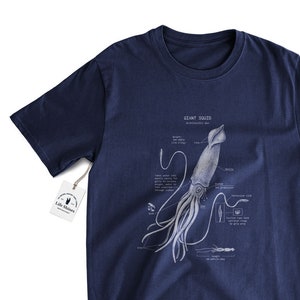 Giant Squid Anatomy T Shirt, Squid T Shirt, Giant Squid Biology, Marine Biology T shirt, Squid Screen Print, Marine Biology T Shirt