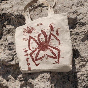 König Krabbe Anatomie Tragetasche, Siebdruck Baumwolle Canvas Tasche, Tide Pool Tote, Krabbe Biologie Tasche