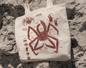 May include: A beige tote bag with a red illustration of a spider crab and its anatomy. The illustration includes the text "Spider Crab", "Japanese Spider Crab", and "Macrocheira kaempferi".