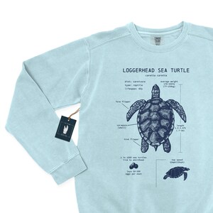 Sea turtles of the world sweatshirt sales