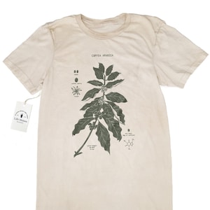 Coffee Dyed Botany Diagram T Shirt, Coffee Dyed Shirt, Screen Printed Coffee T Shirt, Botanical Coffee Art image 1