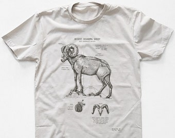 Desert Bighorn Sheep Anatomy T Shirt, Nevada Bighorn Shirt, Nevada State Animal Shirt, Desert Bighorn Sheep T Shirt, Zion Shirt, Ram Shirt