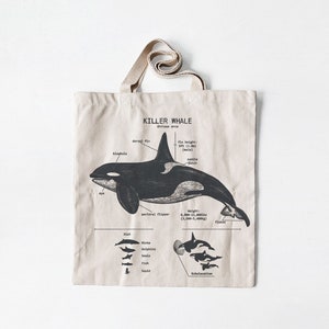 Killer Whale Anatomy Tote Bag, Cotton Canvas Killer Whale Tote, Natural Orca Tote Bag, Killer Whale Biology, Killer Whale Artwork