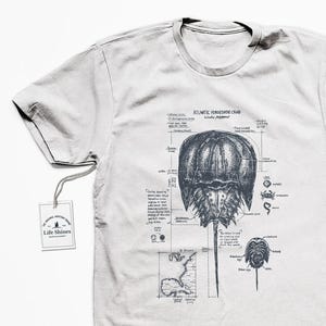 Atlantic Horseshoe Crab Anatomy Tshirt, Marine Biology Shirt, Screen Printed Horseshoe Crab Biology Diagram