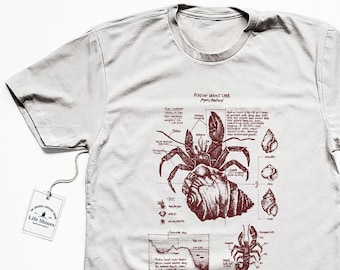Acadian Hermit Crab Anatomy Tshirt, Screen Printed Hermit Crab Shirt, Crab Biology Diagram, Marine Biology Gifts, Hermit Crab Art