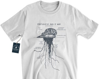 T-shirt portugais Man O' War Anatomy, T-shirt biologiste marin, T-shirt Man O' War, Chemise méduse bouteille bleue, T-shirt de plage vintage