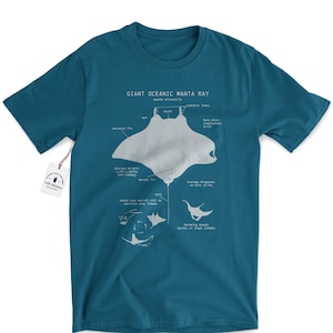Manta Ray Anatomy T shirt, Giant Oceanic Manta Ray Shirt, Marine Biology T Shirt, Biologist Gifts, Manta Ray Gift, Sailing T Shirt Teal