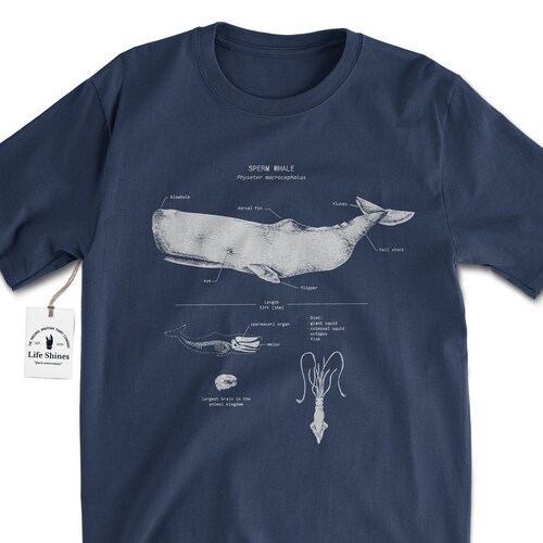 Sperm whale t shirt Clearance