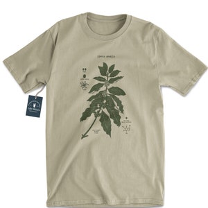 Coffee Plant Diagram T Shirt, Screen Printed Coffee Shirt, Coffee Dyed Shirt, Coffee Botany Shirt, Coffea Arabica Botanical Artwork