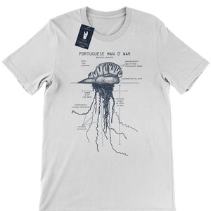 Man O War Anatomy Sweatshirt Portuguese Man O War Etsy