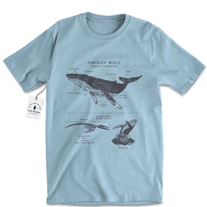 Humpback Whale Anatomy T Shirt, Humpback Whale Shirt, Whale Biology Shirt, Marine Biologist Whale Shirt, Humpback Whale Gift, Whale Artwork