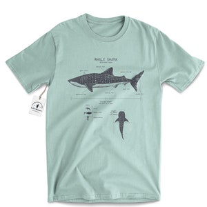 Whale Shark Anatomy T-shirt, Whale Shark T shirt, Marine Biology Shirt, Nautical T Shirt, Shark Gift, Shark Shirt, Beach T shirt Seafoam