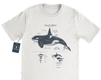 Schwertwal-Anatomie-T-Shirt, Orca-T-Shirt, Delfin-Shirt, Meeresbiologie-T-Shirt Strand-Shirt Meeresbiologe-Geschenke, Delfin-Geschenke